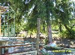 Targovishte - House - In mountain