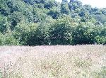 Teteven - Plot of land - In mountain