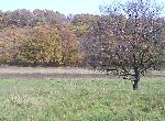 Varna - Plot of land - On the sea