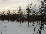 Tryavna - House - In mountain