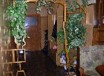 Tryavna - Apartment - In mountain