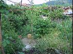 Stara Zagora - House - Near Town
