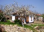 Pleven - House - Near town