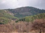 Sofia - Plot of land  - Near Ski Resort