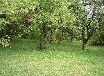 Gabrovo - House - In mountain