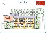 Sunny Beach - Apartment - On the sea