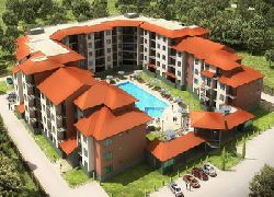 Sunny beach - Apartment - On the sea