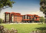 Sunny beach - Apartment - On the sea