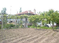 Stara Zagora - House - Near Lake