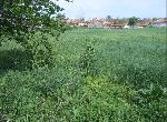 Stara Zagora - House - Near town