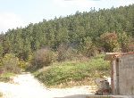 Stara Zagora - House - Near Lake
