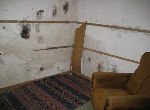 Veliko Tarnovo - House - In mountain