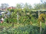 Veliko Tarnovo - House - Near Town