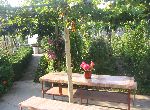 Veliko Tarnovo - House - Near Town