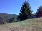 Pamporovo - House - Near ski resort
