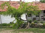 Stara Zagora - House - Near town
