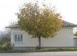 Ruse - House - Near town