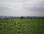Plot of land - Varna - On the sea