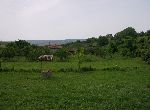 Ruse - House - Near town