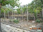 Stara Zagora - House - Near Lake