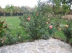 Stara Zagora - House - Near town
