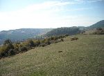 Kardzhali - Plot of land - In mountain