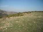 Kardzhali - Plot of land - In mountain