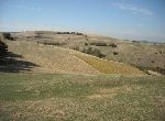 Kardzhali - Plot of land - In mountain