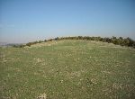 Kardzhali - Plot of land - In mountain