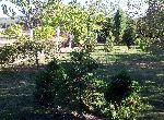 Stara Zagora - House - In spa resort