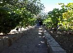 Stara Zagora - House - In spa resort