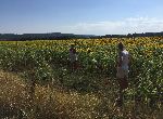 Varna - Plot of land - On the sea