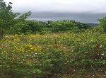Varna - Plot of land - On the sea